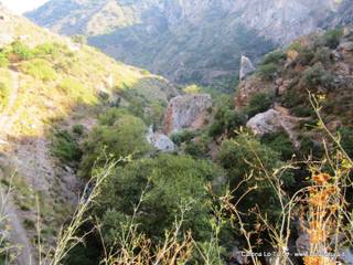stoleone-31-08-2015 09-09-18